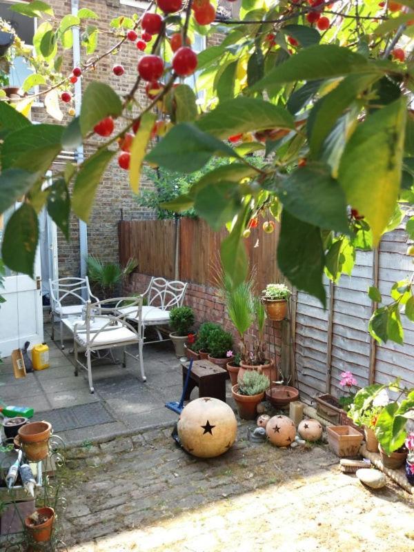 Cosy London Single Room エクステリア 写真